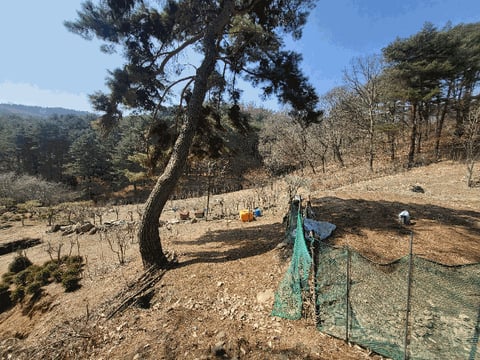 물건 사진 15