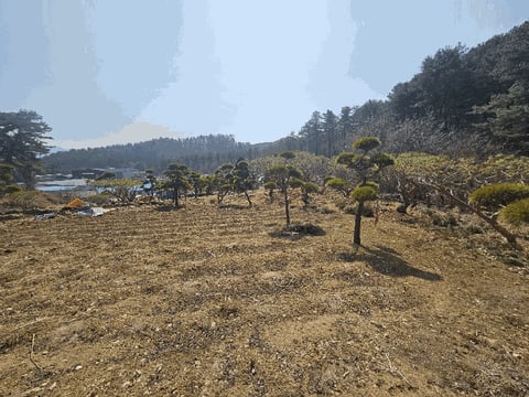 물건 사진 17