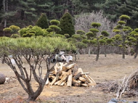 물건 사진 3