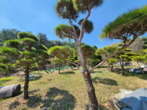 물건 사진 7