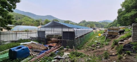 물건 사진 15
