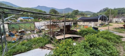 물건 사진 8