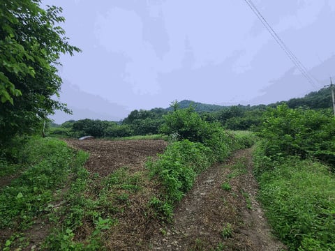 물건 사진 11