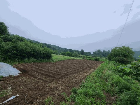 물건 사진 8