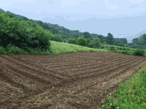 물건 사진 9