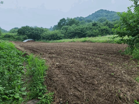 물건 사진 10