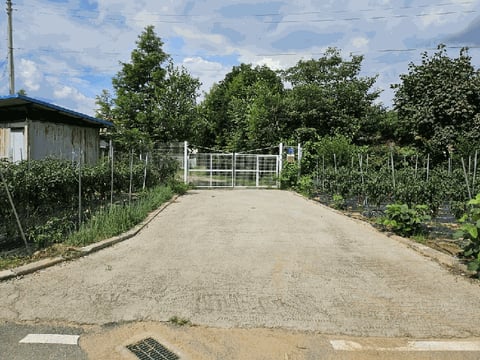물건 사진 42