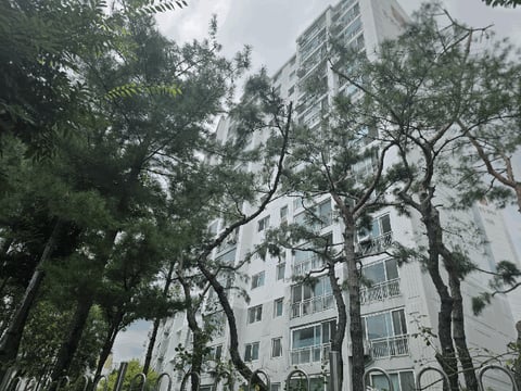 물건 사진 13
