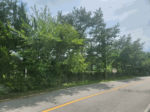 물건 사진 14