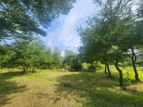 물건 사진 17