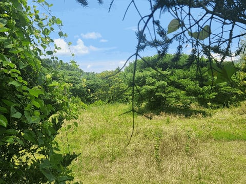 물건 사진 18