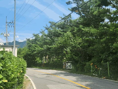 물건 사진 19