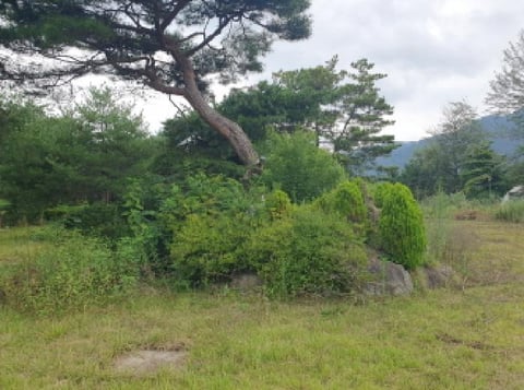 물건 사진 7