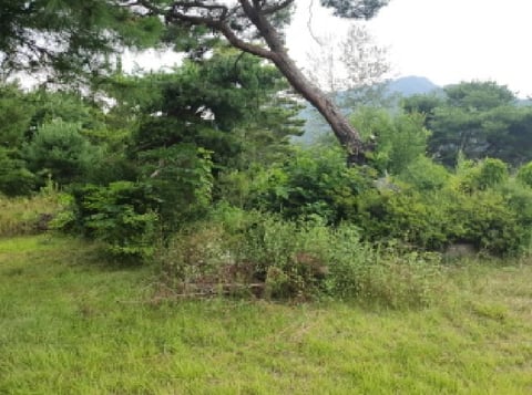 물건 사진 9