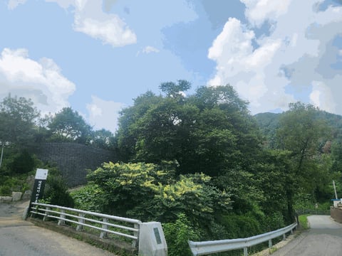 물건 사진 11