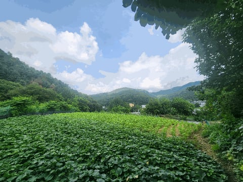 물건 사진 12
