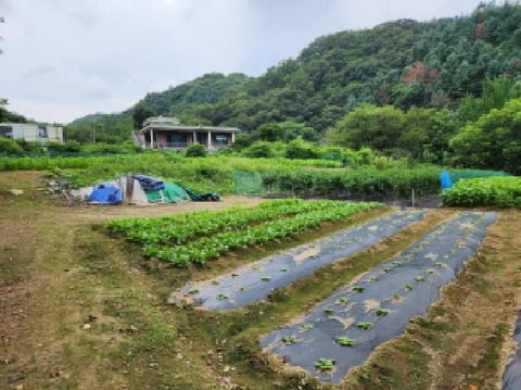 물건 사진 4