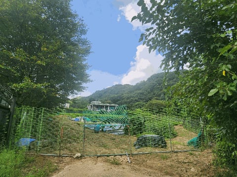 물건 사진 9