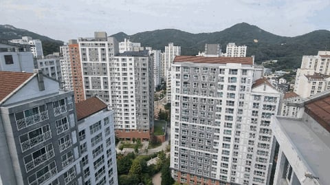 물건 사진 10