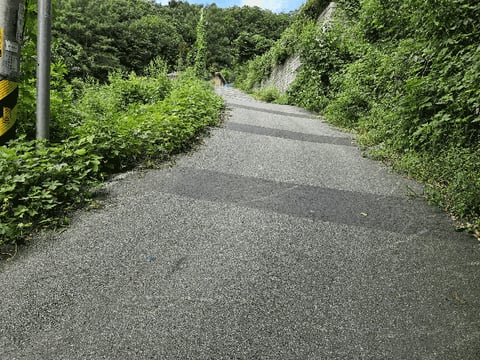 물건 사진 19