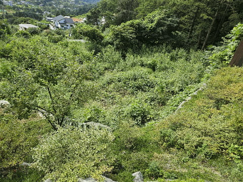 물건 사진 22