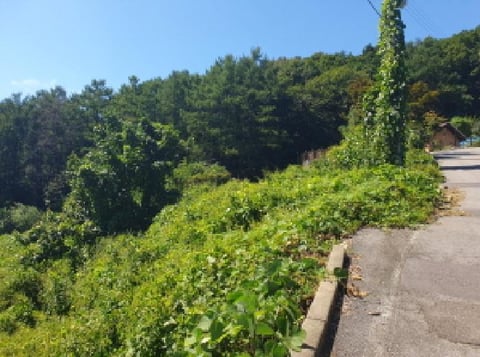 물건 사진 9