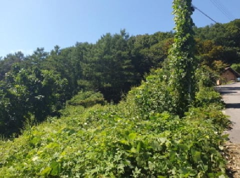 물건 사진 10