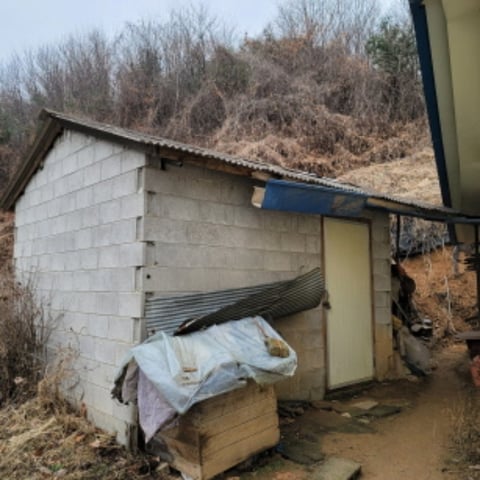 물건 사진 12