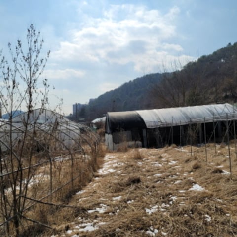 물건 사진 18