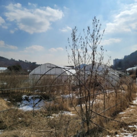 물건 사진 19