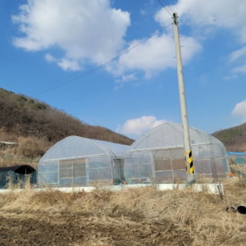 물건 사진 20