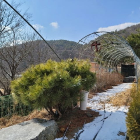 물건 사진 21