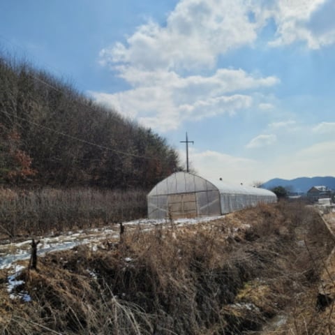 물건 사진 33