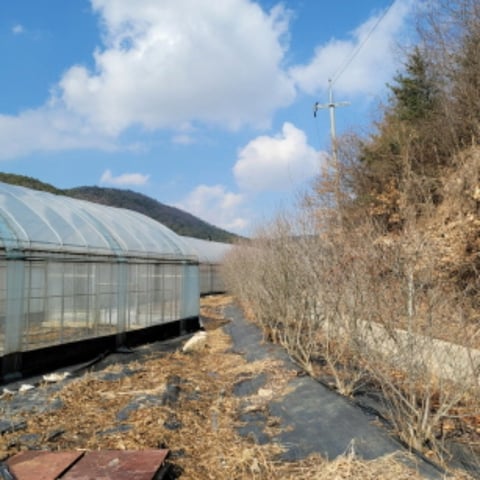 물건 사진 34