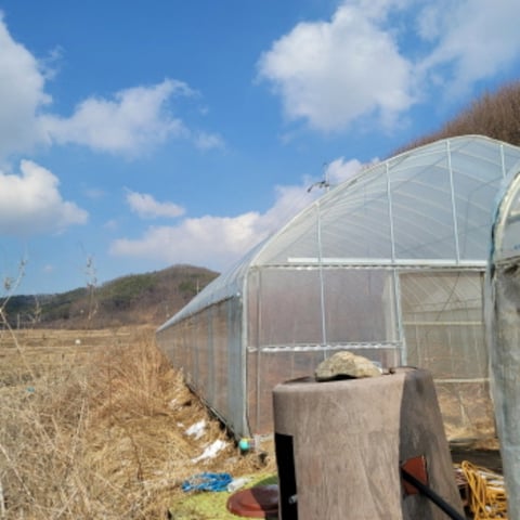 물건 사진 35