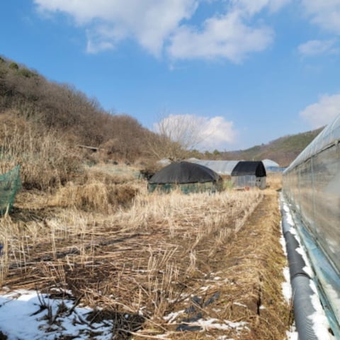 물건 사진 5