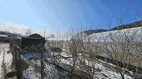 물건 사진 41