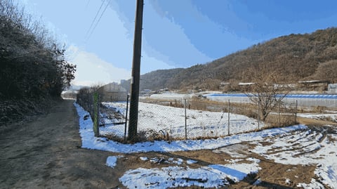 물건 사진 42