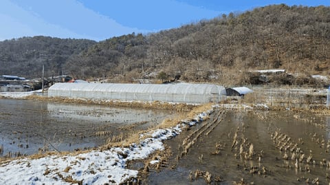 물건 사진 43