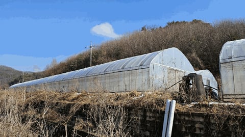 물건 사진 44