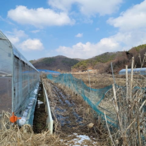 물건 사진 11