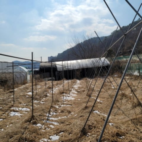 물건 사진 17