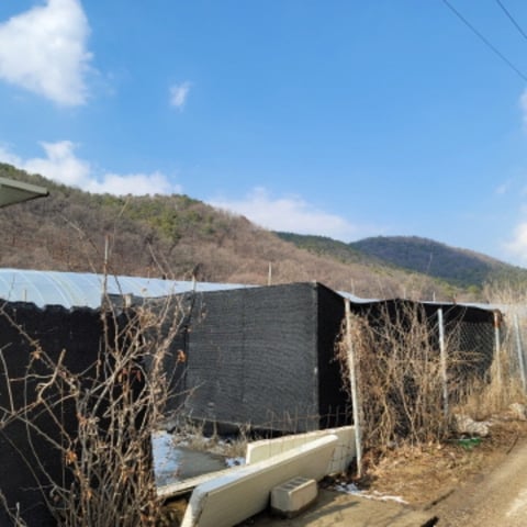 물건 사진 23