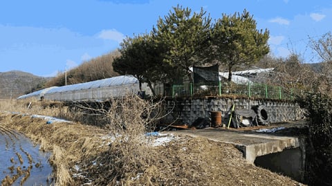 물건 사진 50