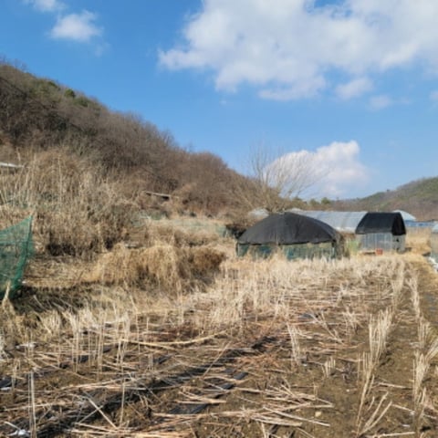 물건 사진 6