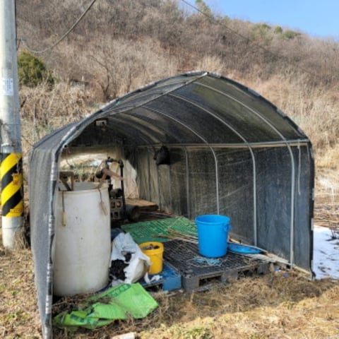 물건 사진 7