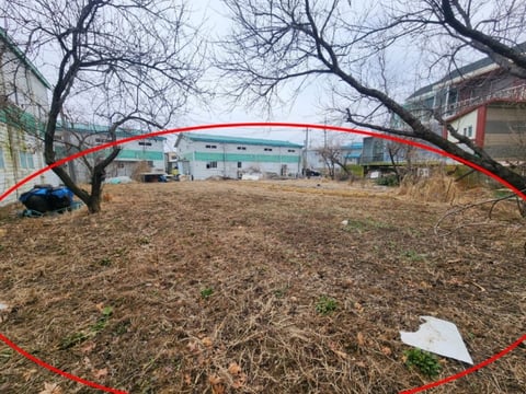 물건 사진 5
