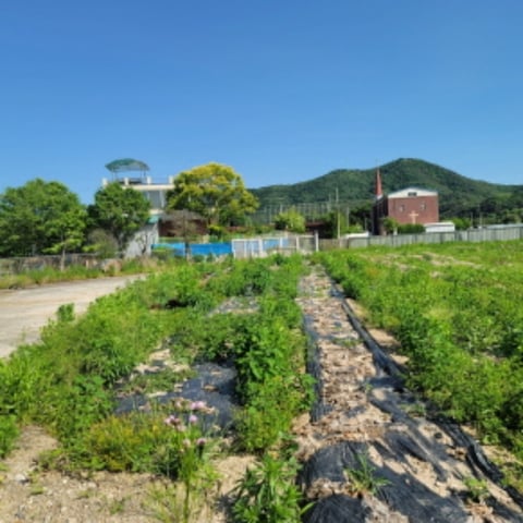 물건 사진 23