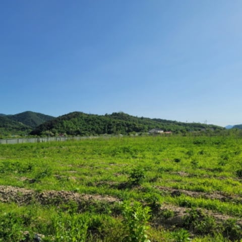 물건 사진 24
