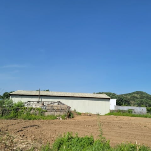 물건 사진 9